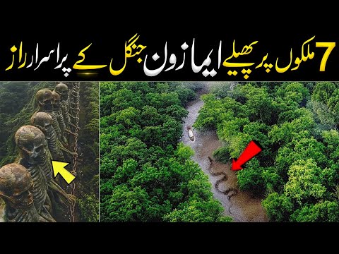 Most Amazing Facts About the Amazon Rainforest