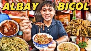15 Must Try BICOL Food in Albay! Utlimate Albay Food Tour 🇵🇭