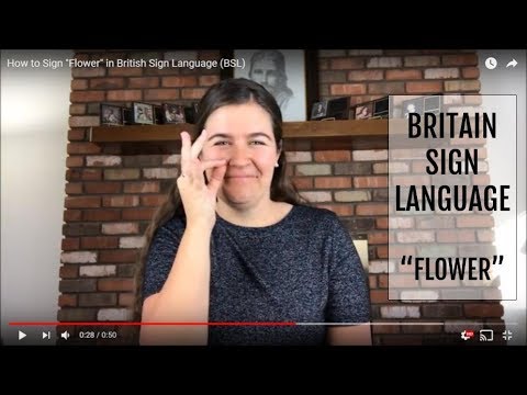 How to Sign Flower in BSL