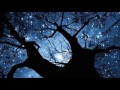 Steve Tyrell ✿ Bella Notte