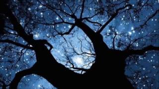 Steve Tyrell ✿ Bella Notte