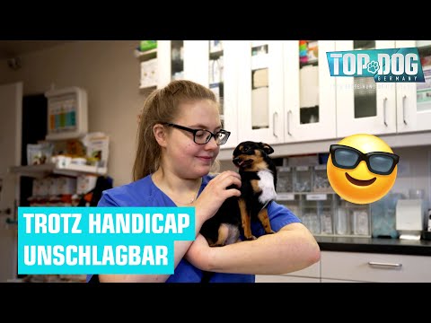 Handicap? No problem: This is how Jasmin and Mila are doing on the obstacle course 🥰🐶 | Top Dog G...