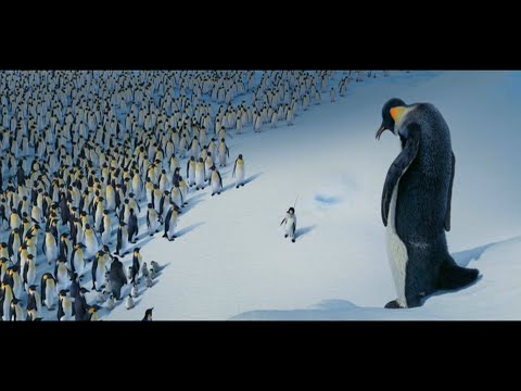 Happy Feet - Mumble returns to Emperor Land