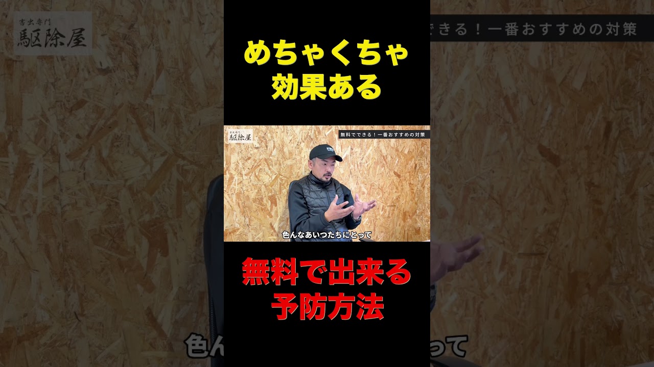 意外な害虫予防方法