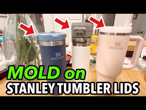The Disturbing Truth About Stanley Tumblers | MOLD 【Review135】