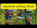 Masteran Paling Dicari Kenari Gereja Cililin Kapas Tembak Cucak Jenggot