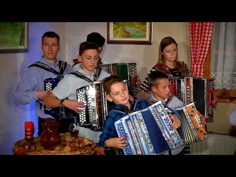 Orkester harmonikarjev Boštjana Povšeta-Dvigni zlato kupico