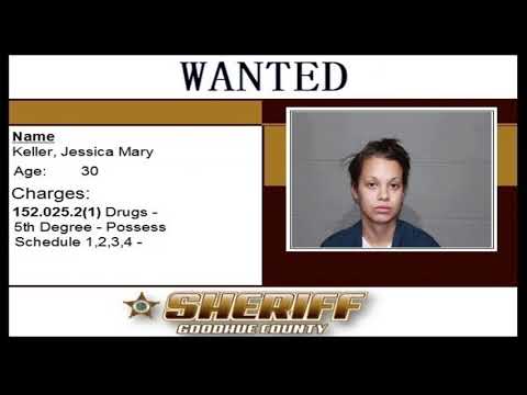 Goodhue County Warrant