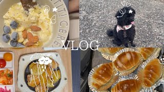 同棲二人暮らしと犬一匹生活🐶塩パンを焼いた日🥐