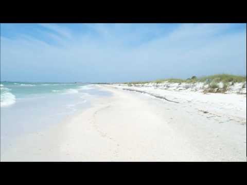 Cardinal ft. Arielle Maren - Sink Into Me (Protoculture Dub Remix)