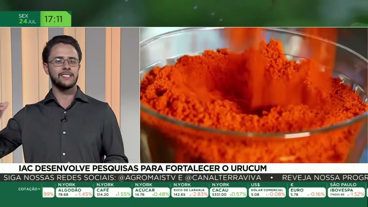IAC desenvolve pesquisas para fortalecer o urucum