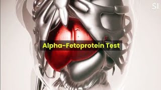What is Alpha-Fetoprotein 