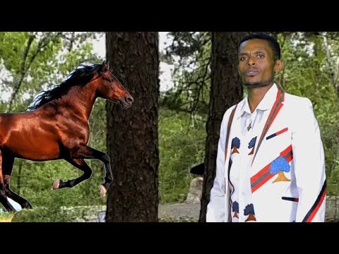 Baayisaa Dhaabasaa – Garasuu / New Ethiopian Oromo music 2020 (Official video)