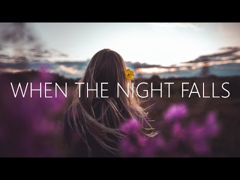 Jason Ross - When The Night Falls (Lyrics) ft. Fiora