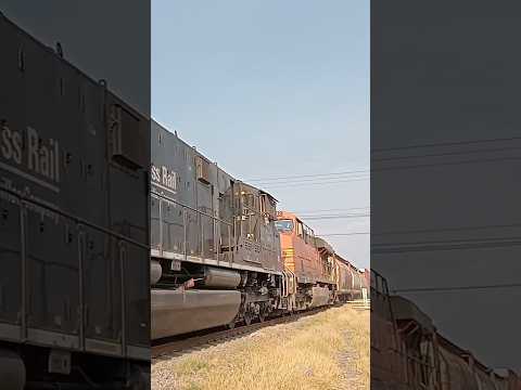 trio de trenes de Ferromex pasando por salamanca guanajuato