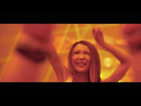 Revibn Festival VS Zedd Bumble Bee