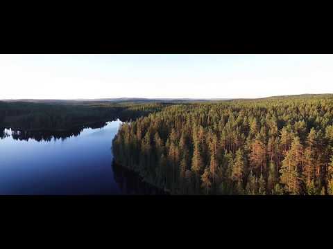 Honka - company introduction