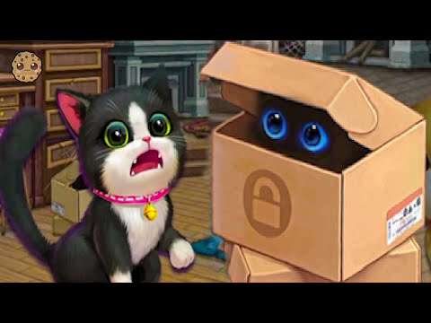 Abandoned Cats Left Alone in Kitten Match - YouTube