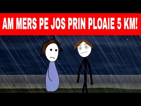 The Hen, the Diliu and the Car: Walking at Night in the Rain - High School Stories