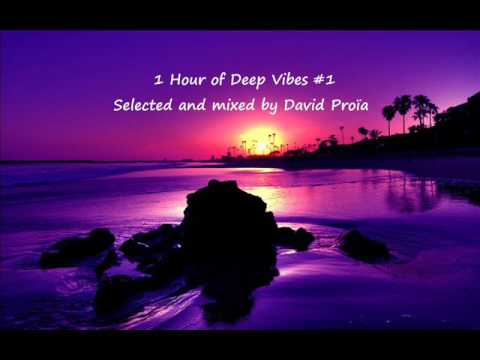 1Hour of Deep Vibes (O. Schories, Yotto, Oxia, Andhim, Guy Gerber...)