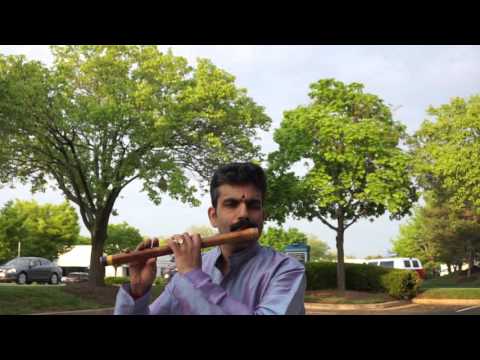 Dwijavanthi Alapana CL411