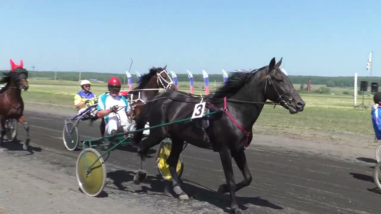 Конно-спортивные соревнования памяти Льва Константиновича Варсобина и Сергея Витальевича Лештаева - 2024