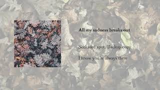 Secluded spot. Backup copy - All my sadness breaks out (Official Audio)