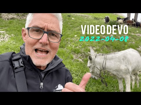 VIDEODEVO 2022 04 08