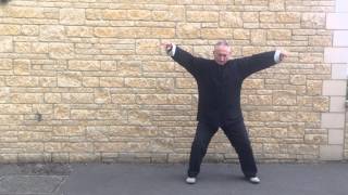 Eternal Spring Qi Gong