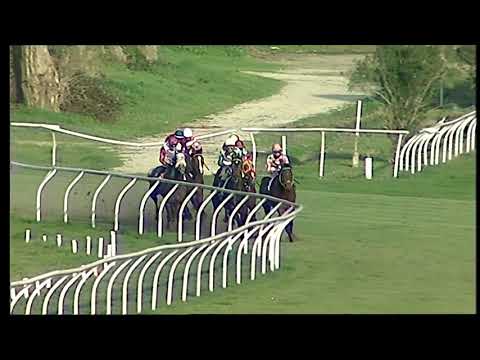 Napoli Galoppo 23/02/20021 - 6ª corsa