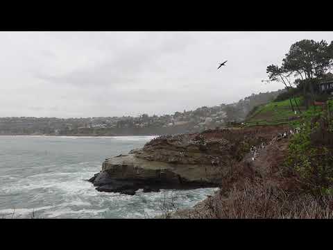 King Tides at La Jolla Cove | San Diego Beach | Calming & Relaxing
