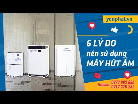 6 lý do nên sử dụng máy hút ẩm