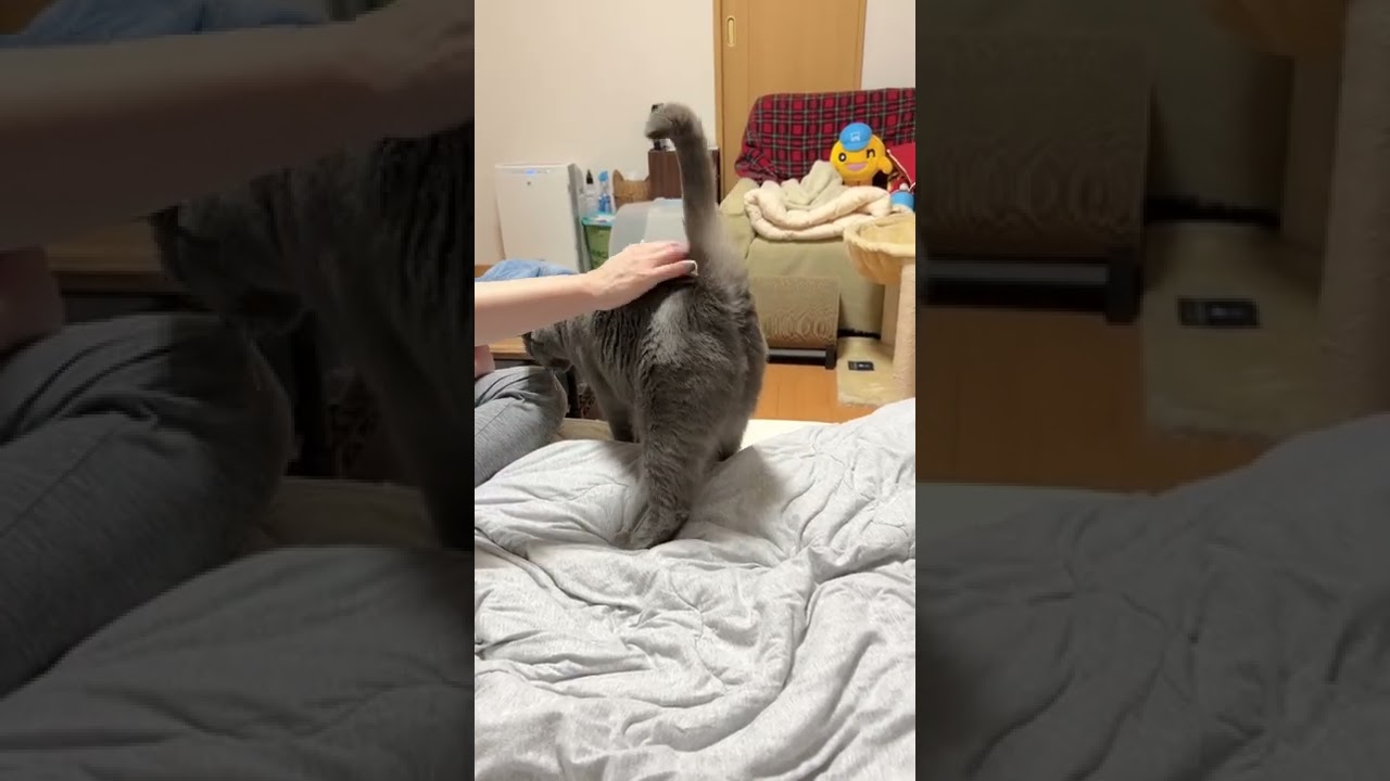 お甘えムームー君