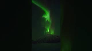Incredible Northern Lights 😍  Canada 🇨🇦 #aurora #canada #shorts