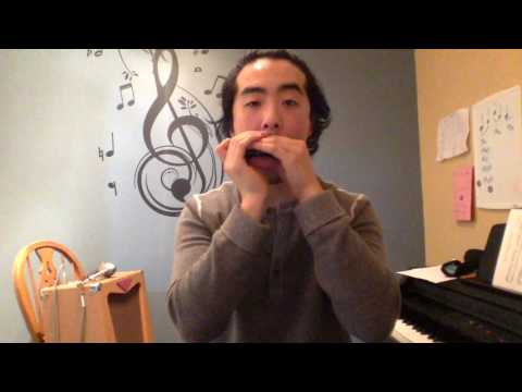 Lucky 13 Bass Blues Harmonica Competition Entry- (Low) G harmonica