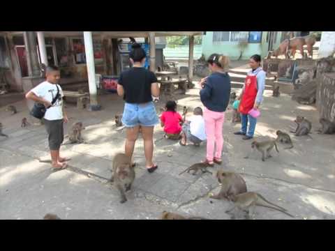 Affenfütterung in Khao Takiab, präsentiert vom Wellnessresort  Thep Tien Thong