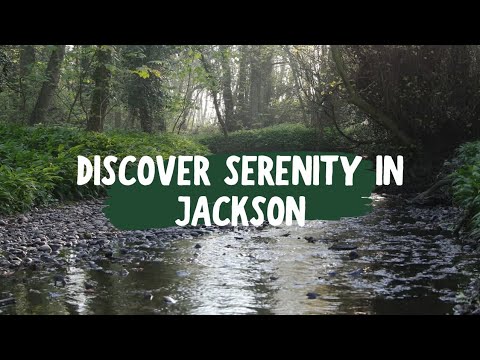 Exploring Cypress Grove Nature Park's Tranquility | Community Focus Friday