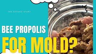 Use bee propolis to treat mold exposure!