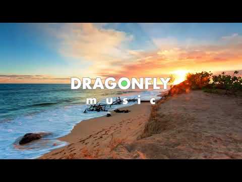 Arensky x Adam Knight - Falling Dreamer | 1 Hour Version