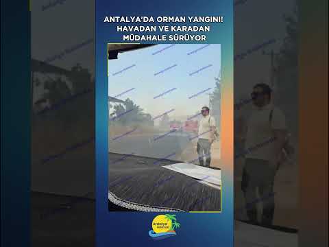 Antalya'daki orman yangınına havadan ve karadan müdahale sürüyor!