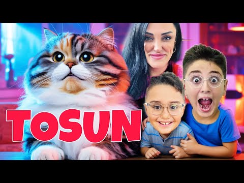 A DAY VLOG WITH OUR CAT TOSUN!!