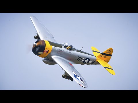 Pilot-RC: P47-D 1/5 scale