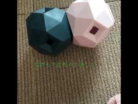 アップドッグオディン