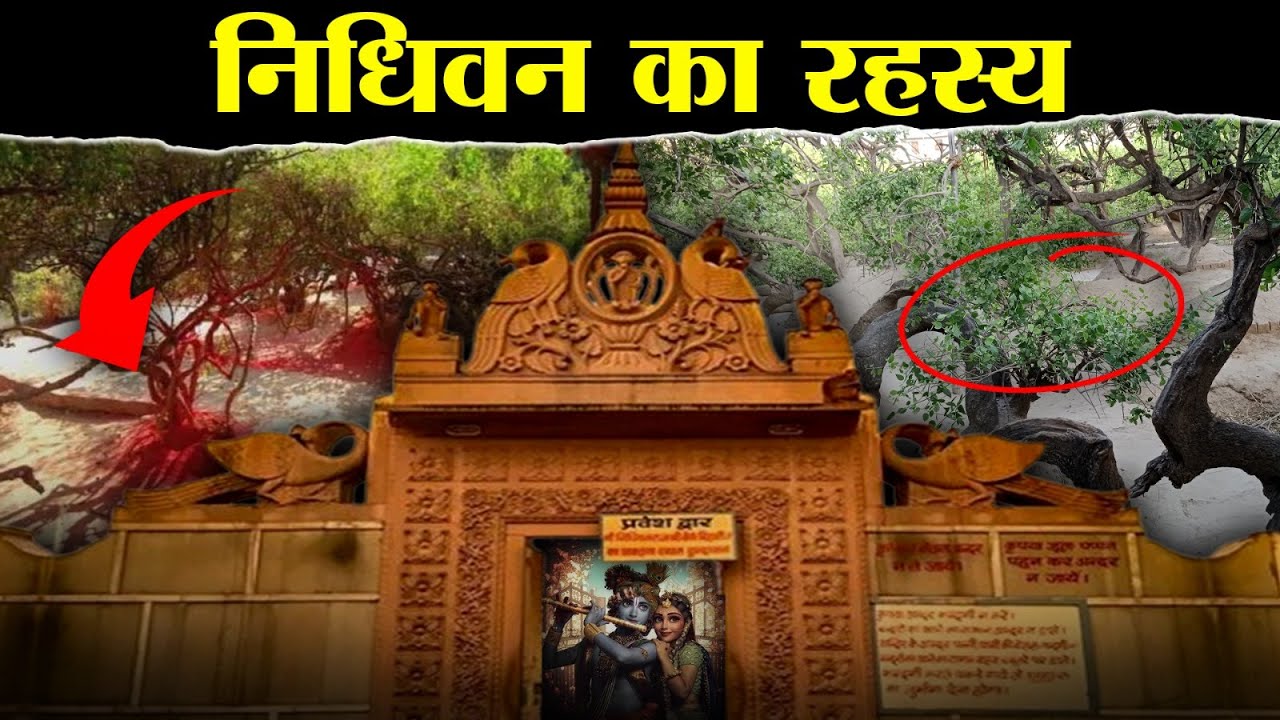 YouTube video thumbnail: आधी रात निधिवन में हुआ चमत्कार, देखकर दुनिया हैरान