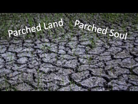 Parched Land, Parched Soul
