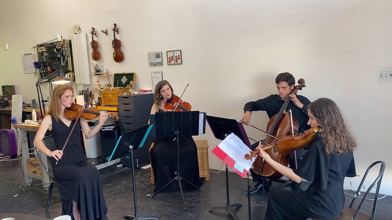 Promotional video thumbnail 5 for Arabesque Ensembles