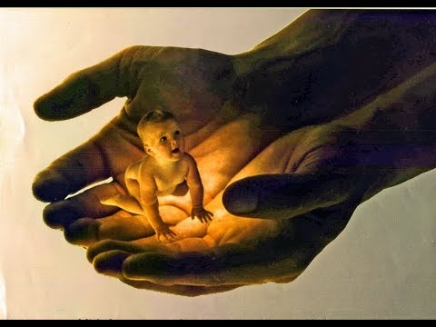 EL VALOR DE LA VIDA HUMANA