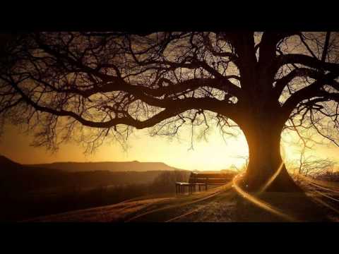 OST Ruler of Your Own World - After a Dream - Lee Hyun Wook (꿈을 꾼 후에- 이현욱) (Scat ver)