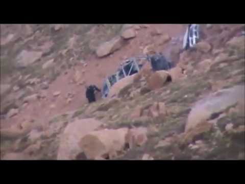 Jeremy Foley Car Crash - Some days it's your day to live, so live it!