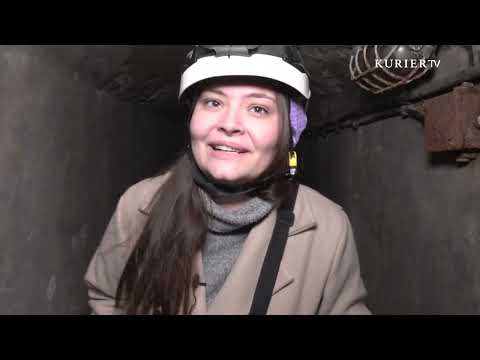 Taubenplage und Rattenplage: Was man tun kann